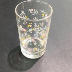 0505-278 【無料】 ガラスコップ