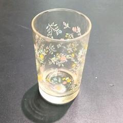 0505-279 【無料】 ガラスコップ