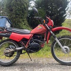 HONDA★XL125★オフロード‼️即乗り‼️即配送可能‼️の画像