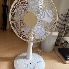 決まりました！扇風機