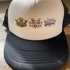 2023年阪神&オリックス優勝🏆パレード記念　