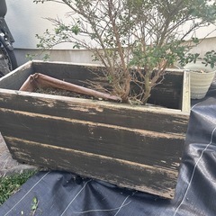 ガーデニング植木鉢　コンテナ　木製の画像