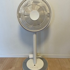 【優しい風】かもめファン
