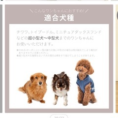 ライフスタイル ペットケージ-1の画像