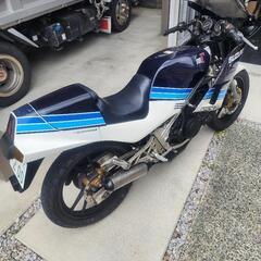 RG250Γ　ガンマの画像