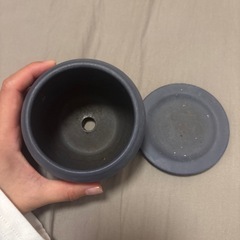 【ミニ植木鉢／受け皿セット】小ぶりで可愛い陶器鉢の画像