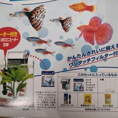 水槽【テトラ　熱帯魚飼育セット】の画像
