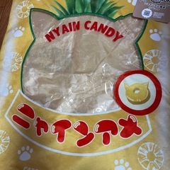 ニャインアメ寝袋
