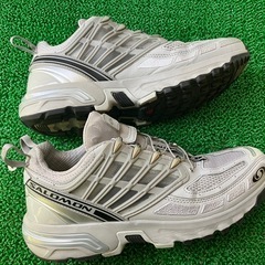 SALOMONシルバー28.0