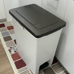 R防臭エバン ペダルペール30L ゴミ箱