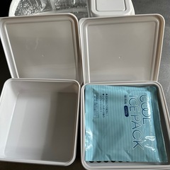 ピクニック大容量お弁当箱の画像