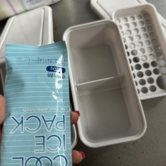 ピクニック大容量お弁当箱の画像