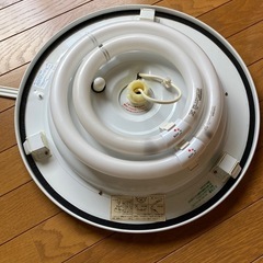 紐付きライトの画像