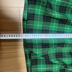 緑と黒のチェック柄
スカートGU製の画像