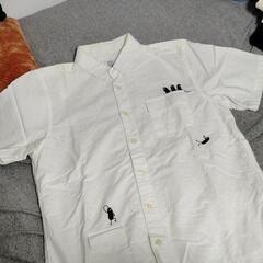 襟付きシャツ半袖白