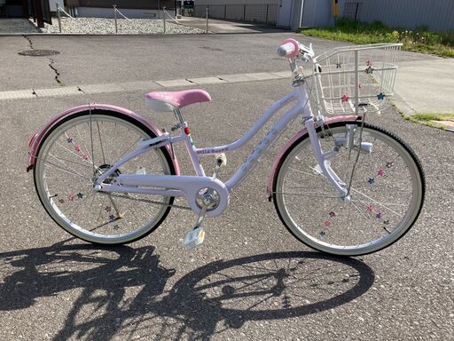 新品BRIDGESTONE Wild Berry WB204 22インチ