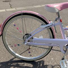新品BRIDGESTONE Wild Berry WB204 22インチ