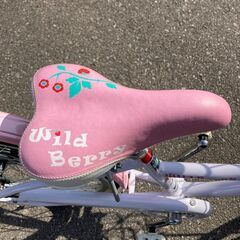 新品BRIDGESTONE Wild Berry WB204 22インチ