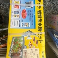 水槽の画像