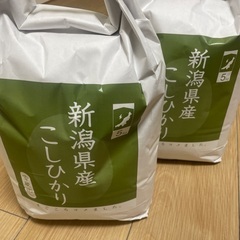 令和7年新米　田心　新潟県産コシヒカリ　