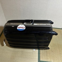 キャリーバック
