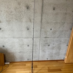 シャウラ　2601R 