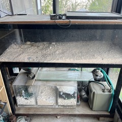 オーバーフロー水槽
