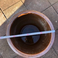 中古鉢の画像