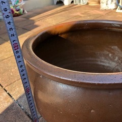 中古鉢の画像