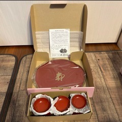 お食い初め 祝膳 女の子 美品