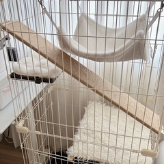【受付終了】猫用キャットケージ　2段　トイレ付き　の画像