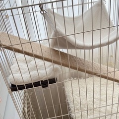 【受付終了】猫用キャットケージ　2段　トイレ付き　の画像