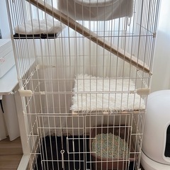 【受付終了】猫用キャットケージ　2段　トイレ付き　の画像