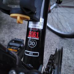 ルイガノ 24インチの画像