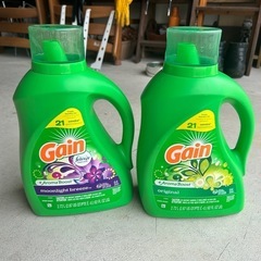 US Gain 洗剤