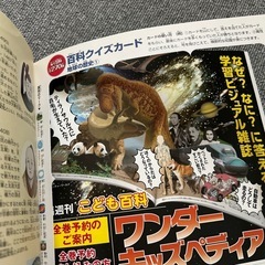 恐竜の時代　ワンダーキッズぺディアの画像