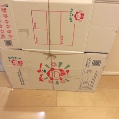 ダンボールの画像