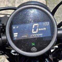 レブル250かなりの美車の画像