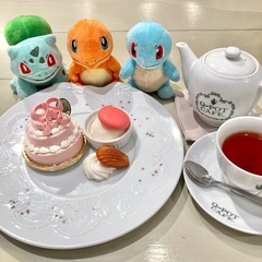 ポケモン好きなお友達募集⚡️