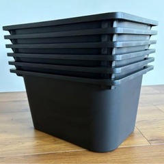 本日限定価格‼️トロファスト　黒　ブラック　限定色