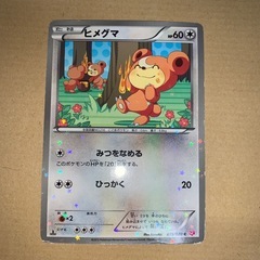 ポケカ シャイニーコレクション ヒメグマ