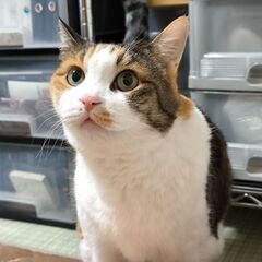 暇なので飯友募集（30代前半男）