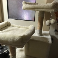 キャットタワークリーム色の画像