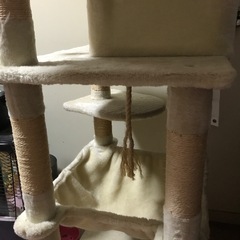 キャットタワークリーム色の画像