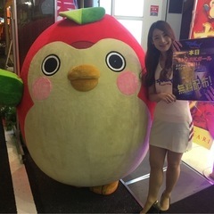 🆕🚨緊急5/25コンパニオン募集、シャークガール募集 🆕登録大量コンパニオン、演者募集の画像