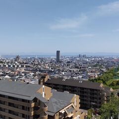 山歩きその３　初めてのコース