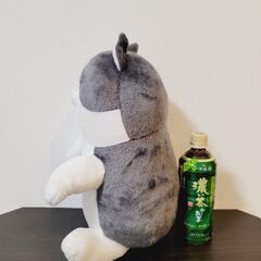 【新品タグ付き】あおむけ イヌネコ ぬいぐるみの画像