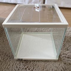 水槽