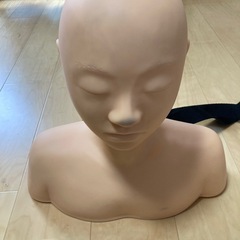 フェイシャル用マネキン