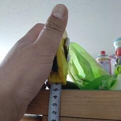 食器棚の画像